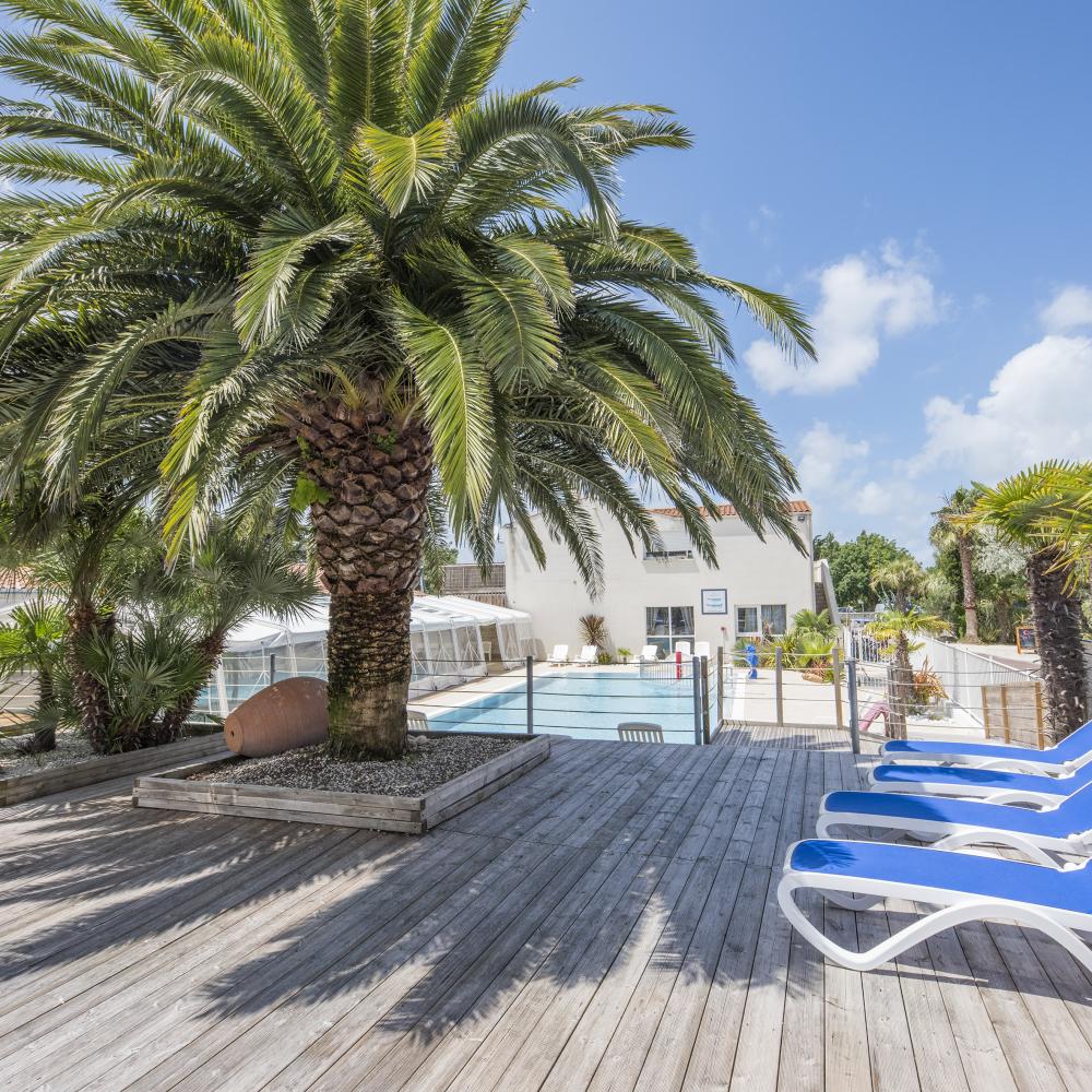 Deck chairs by the pool