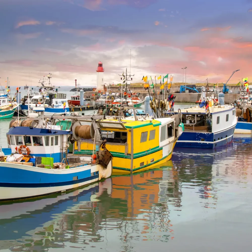 Port de pêche avec bateaux colorés au crépuscule.