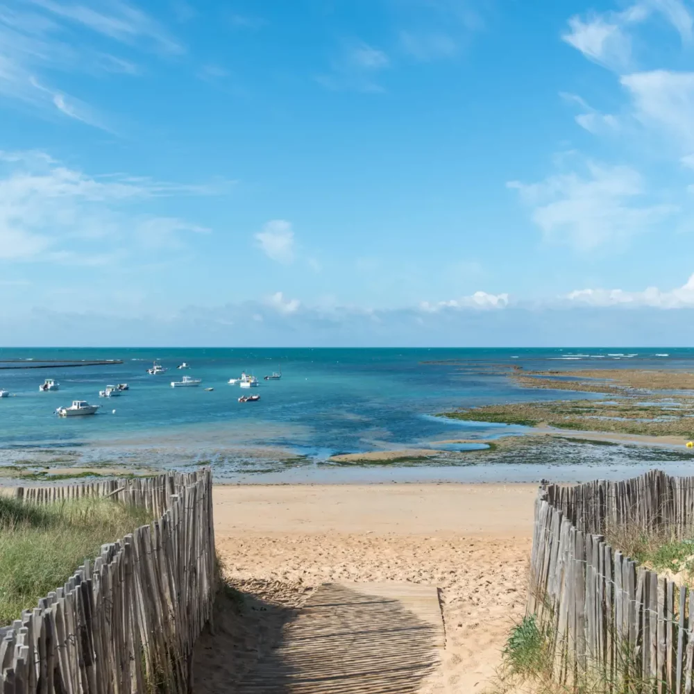 Chemin vers plage avec mer et ciel bleu