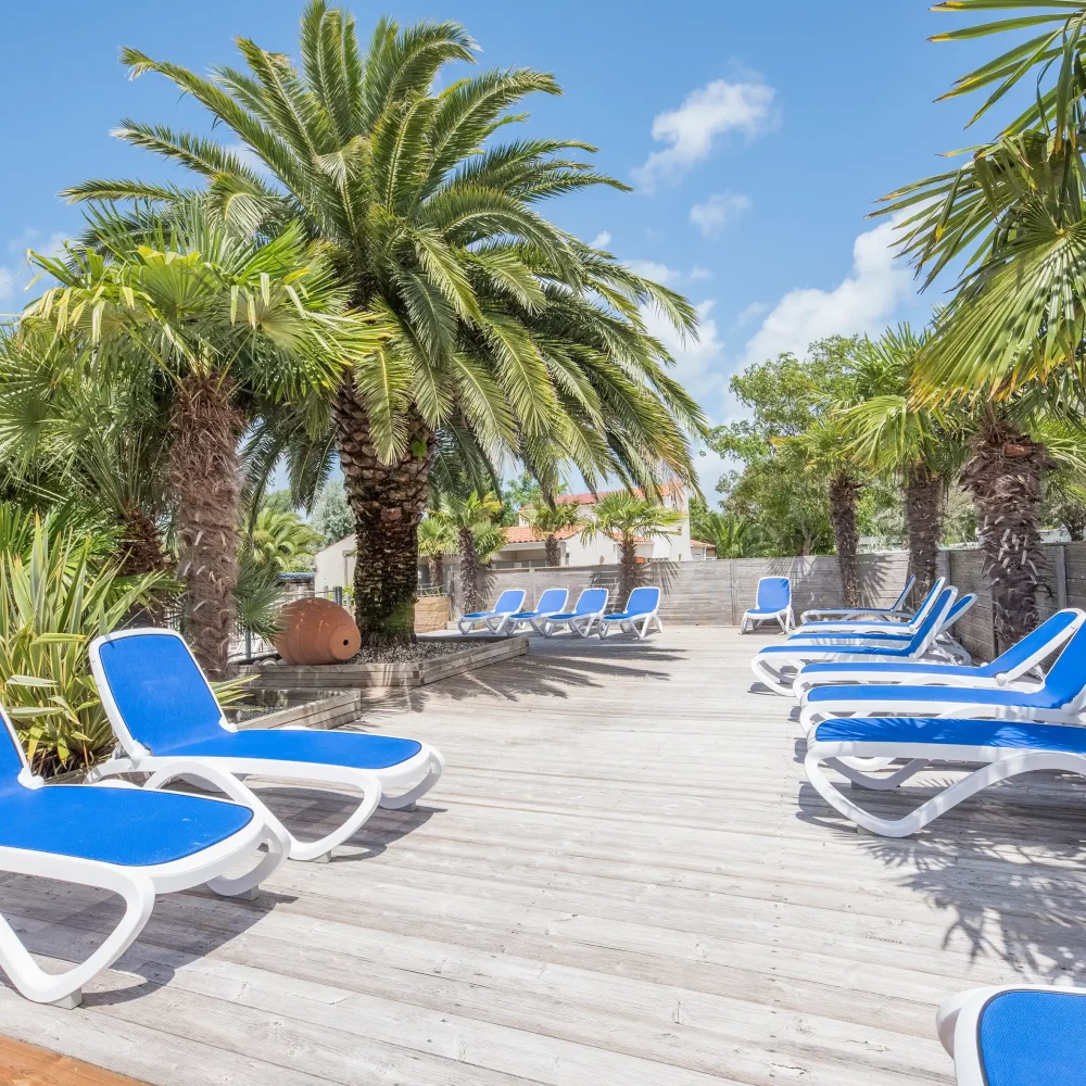 Chaises longues bleues sous palmiers ensoleillés.