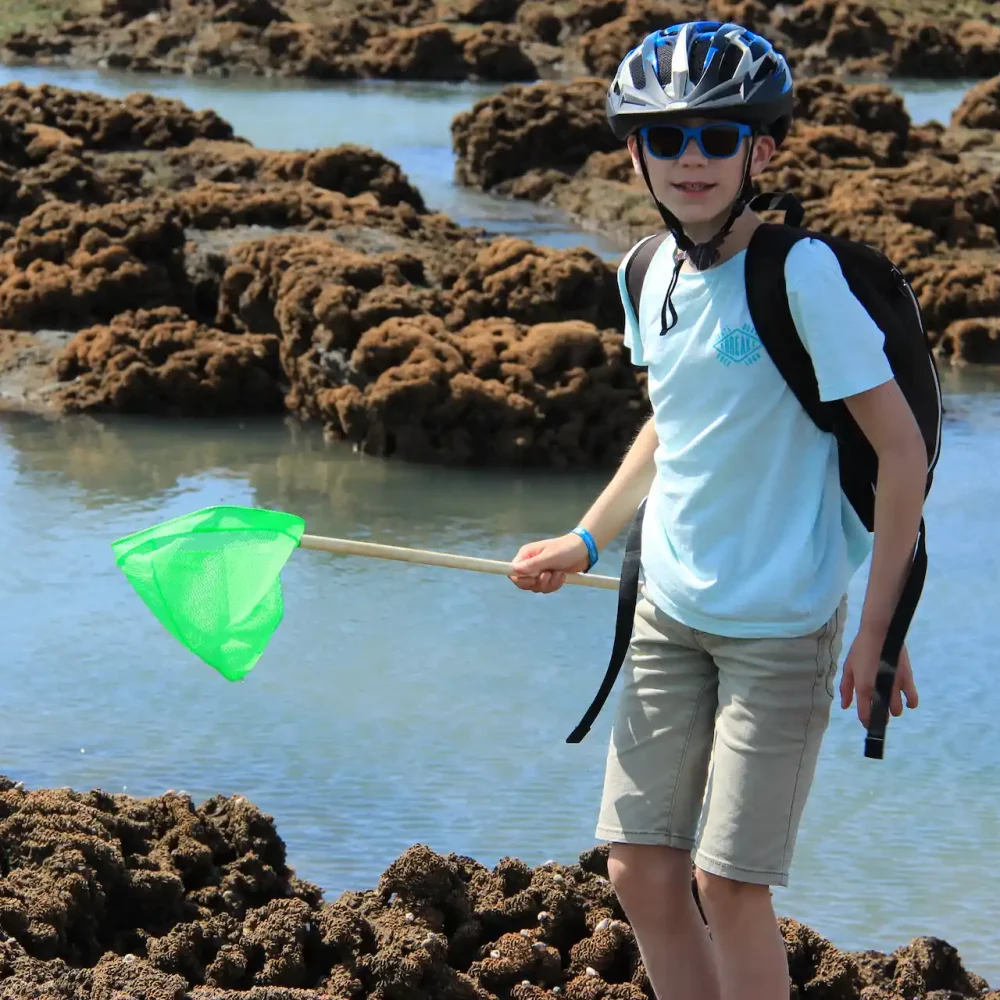 Enfant explorant les rochers avec une épuisette.