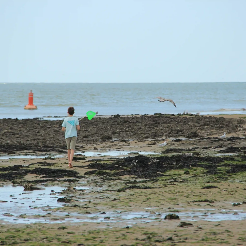 Enfant courant sur plage avec épuisette verte