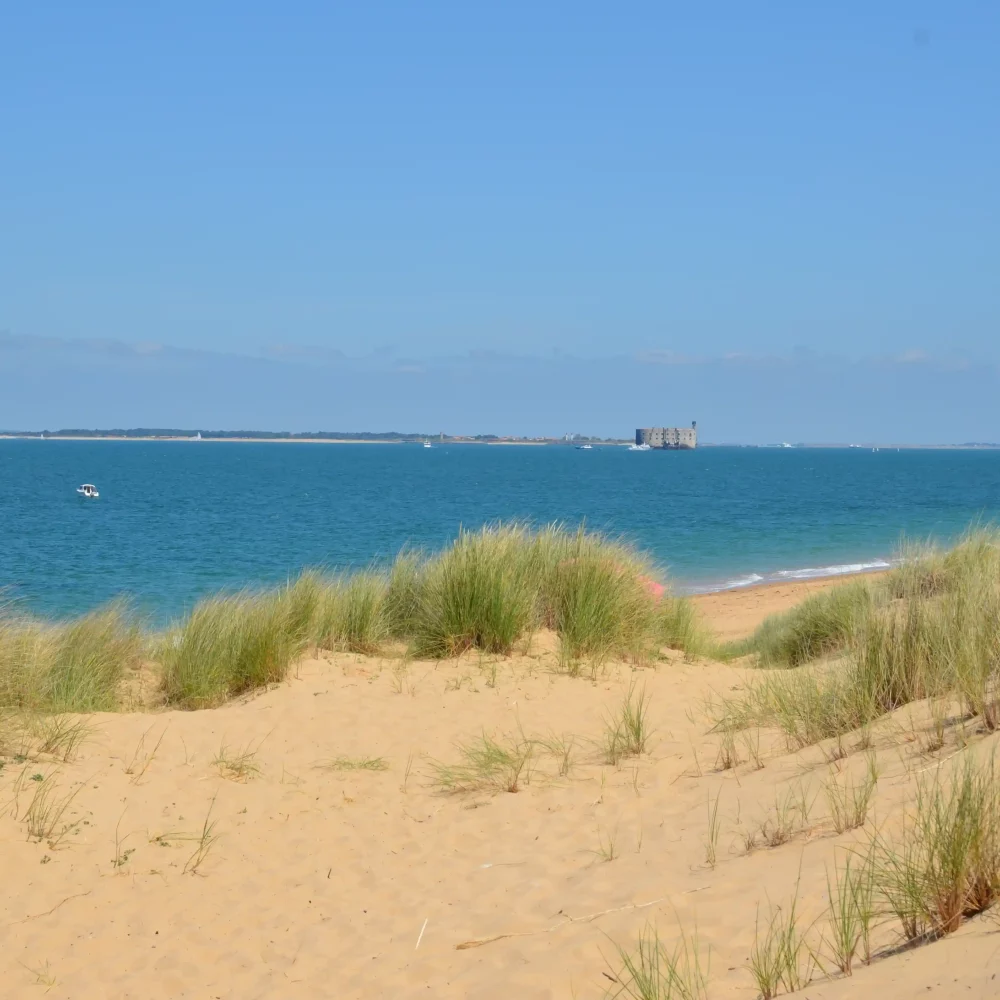 Plage sableuse avec vue sur mer