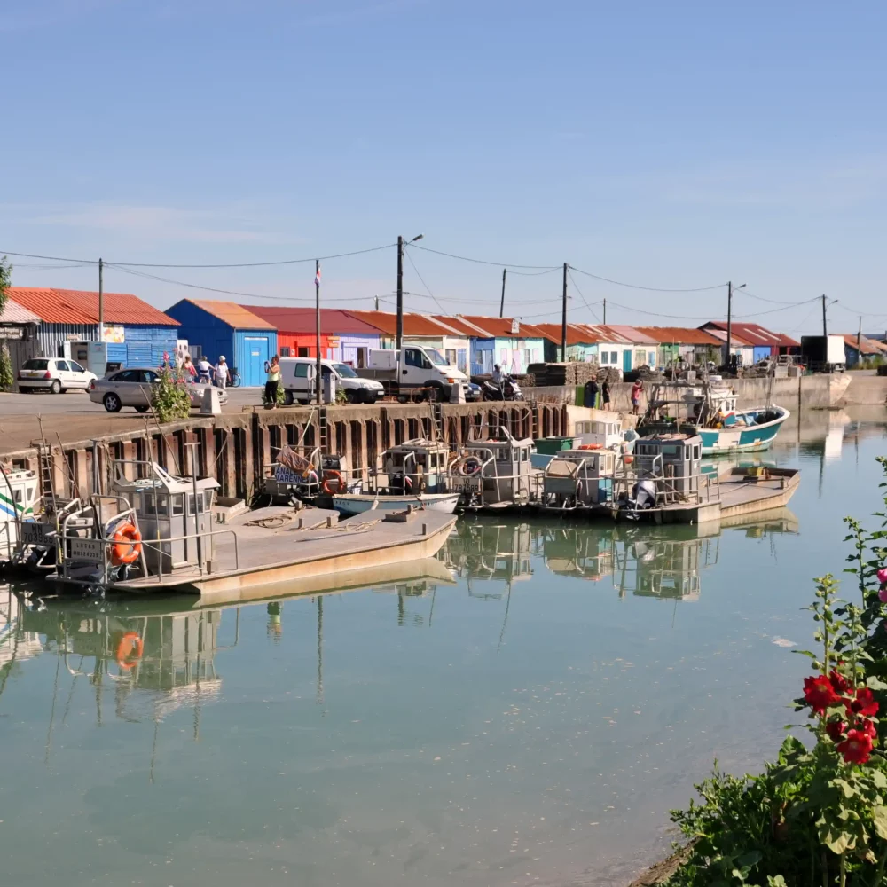 Port de pêche avec bateaux et cabanes colorées.