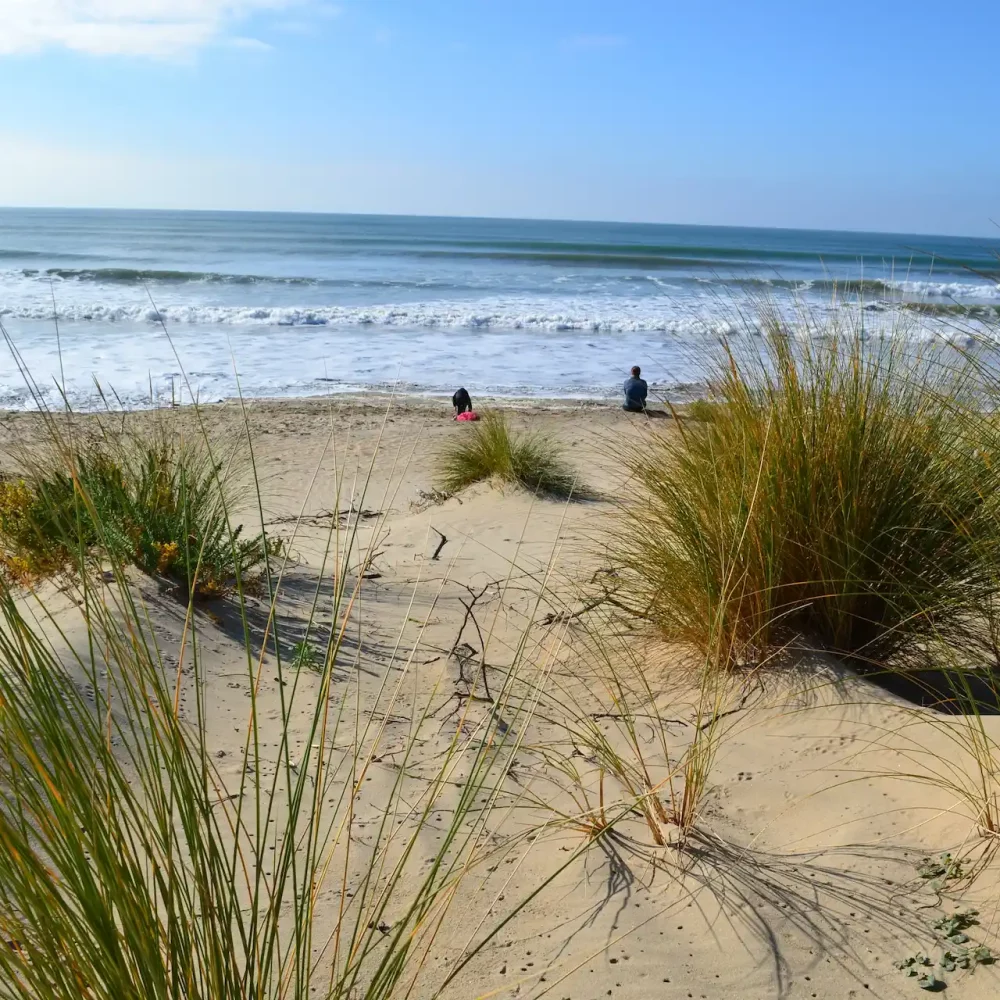 Plage sablonneuse avec dunes et mer