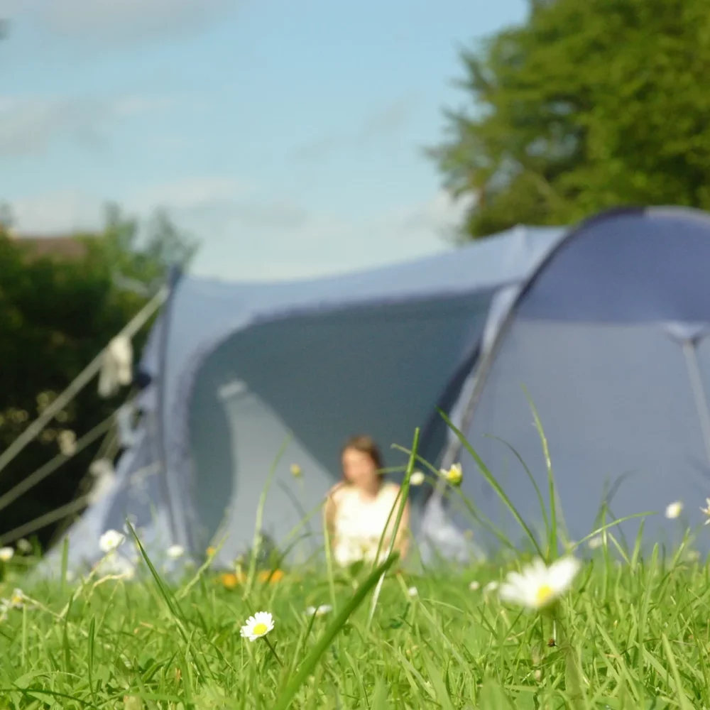 Emplacement tente spacieux et délimité par des haies au camping Antioche d'Oléron, île d'Oléron